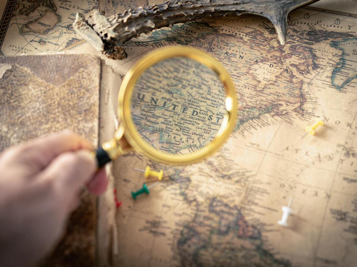 The Dumbinisation of a&nbsp;Nation