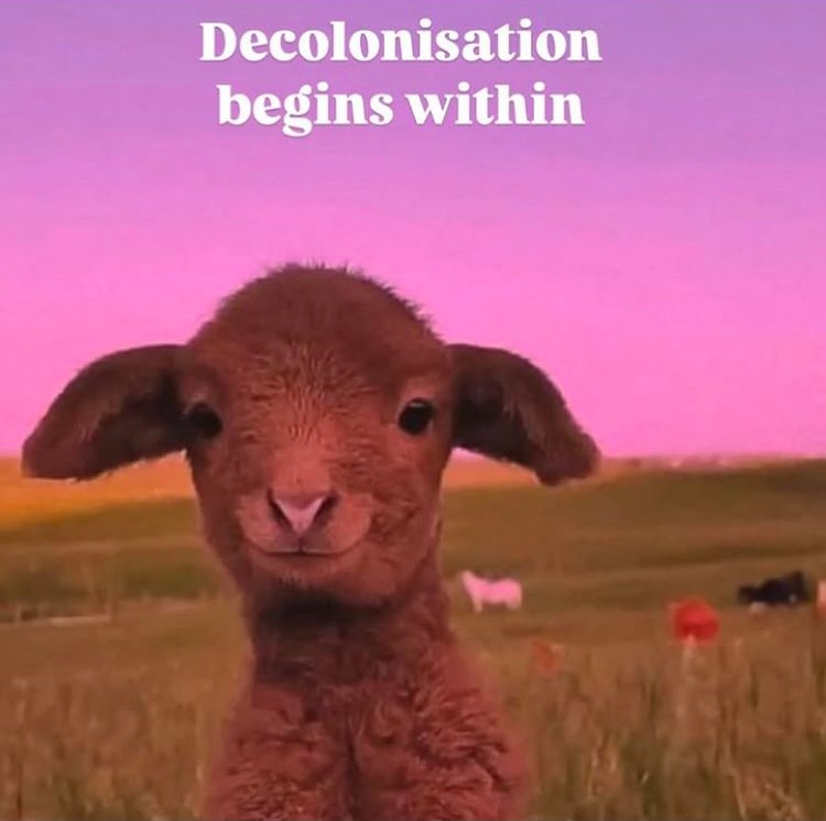 This Is How They Have&nbsp;Us